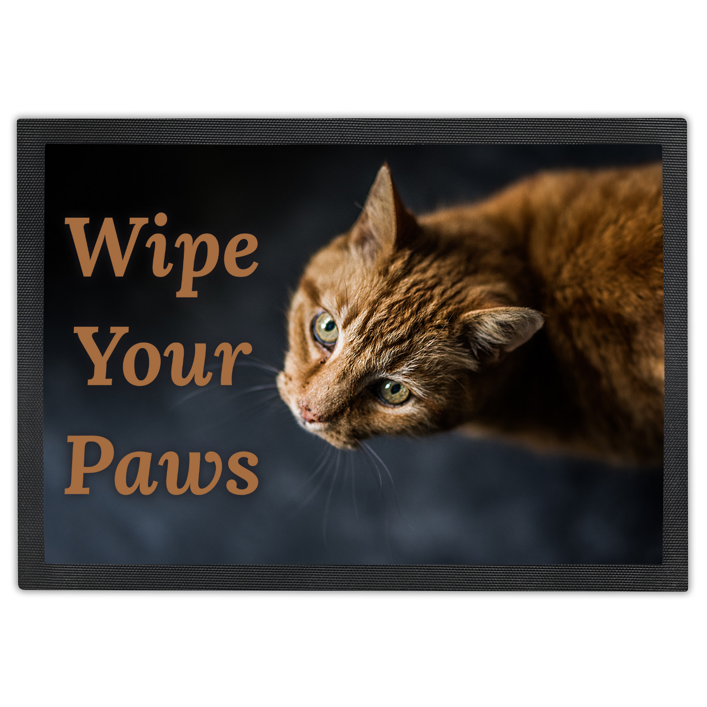 Wipe Your Paws Orange Tabby Doormat